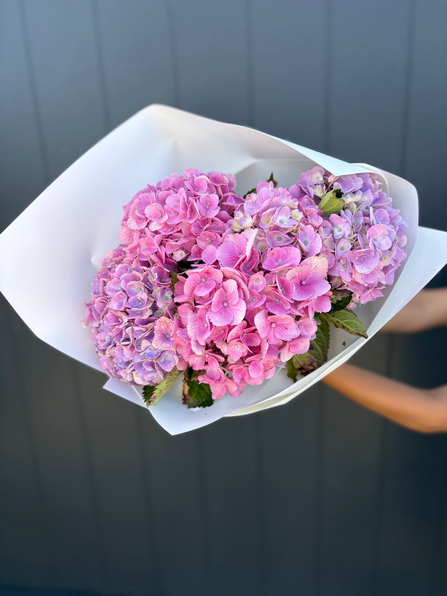 Market bunch of the week