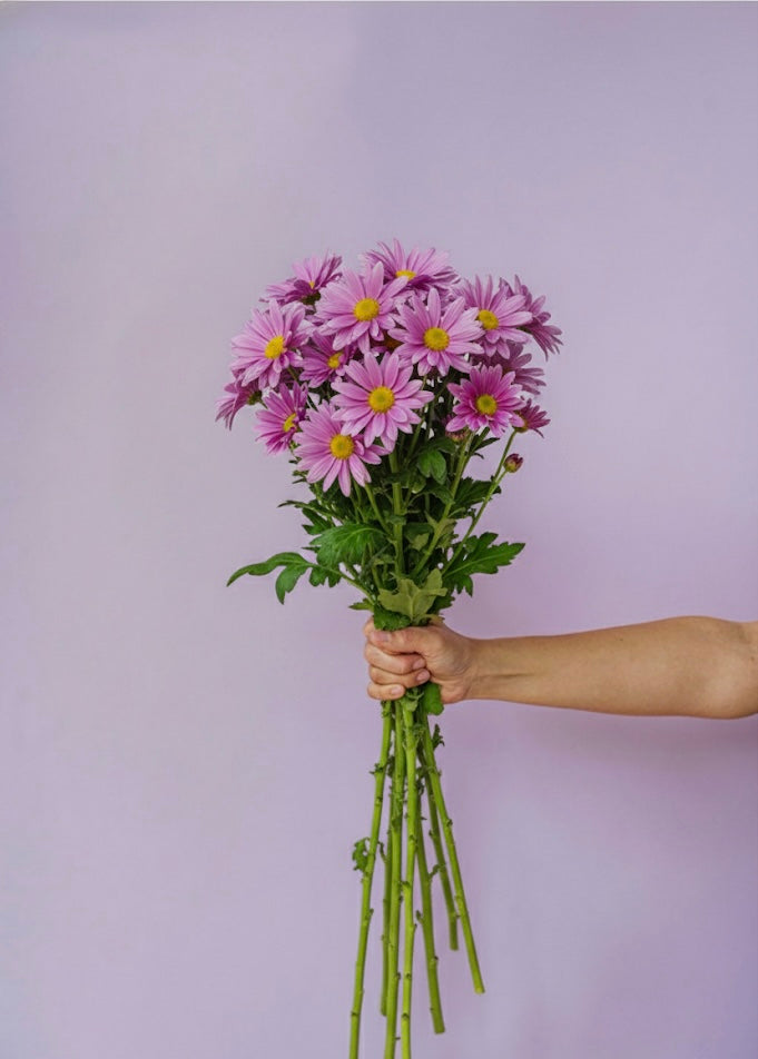 Market bunch of the week Chrysanthemums