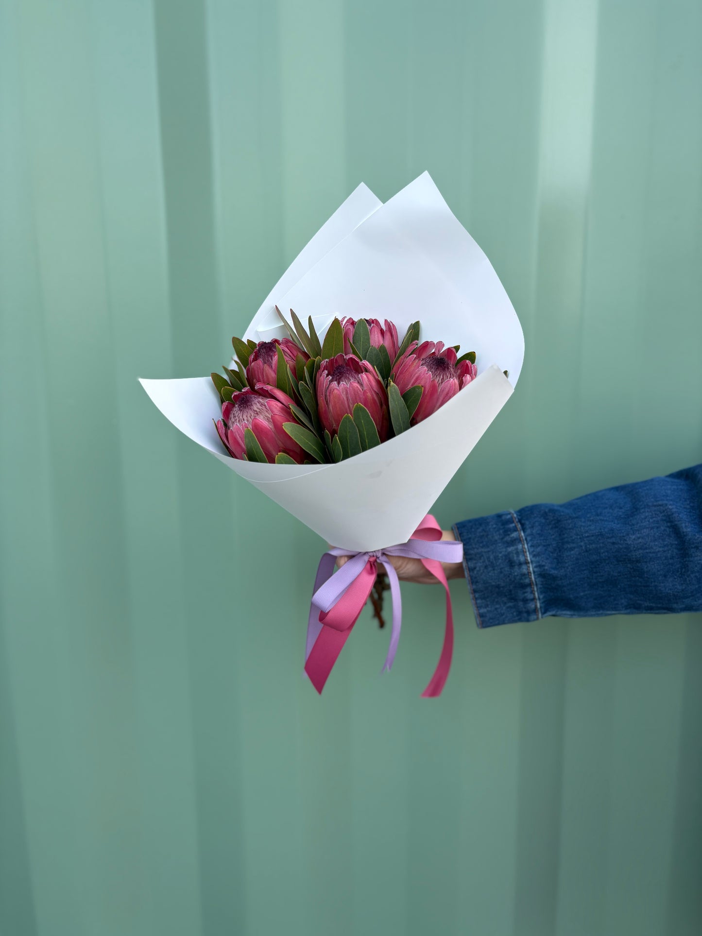 pretty proteas