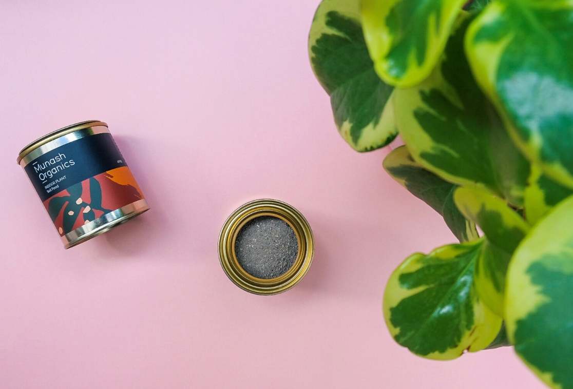 Indoor Plant Soil Food 400g