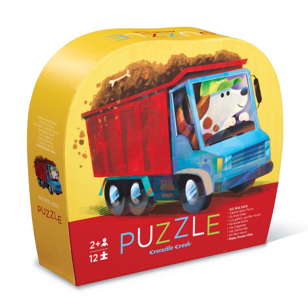 12 pc mini puzzle