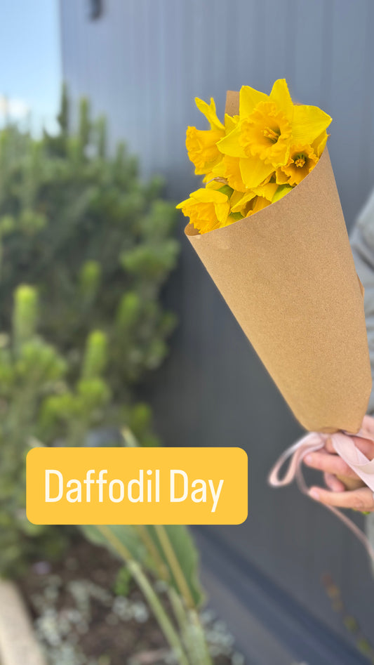 Daffodils