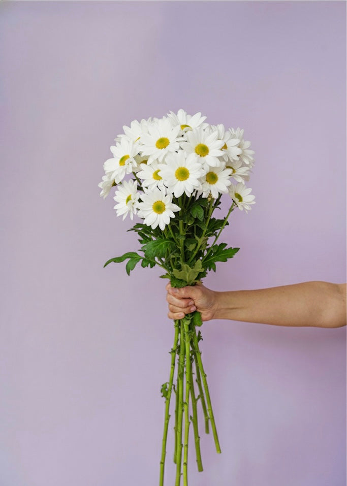 Market bunch of the week Chrysanthemums