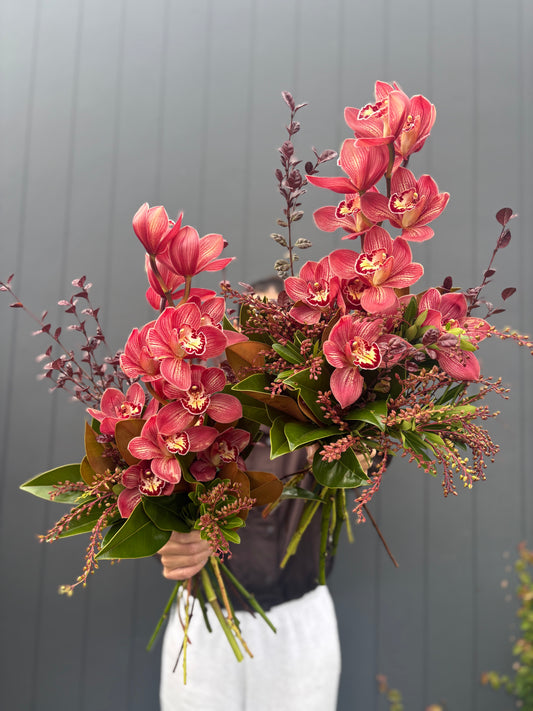 Orchid Stunners