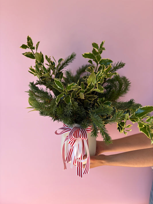 Smells like CHRISTMAS 🎄