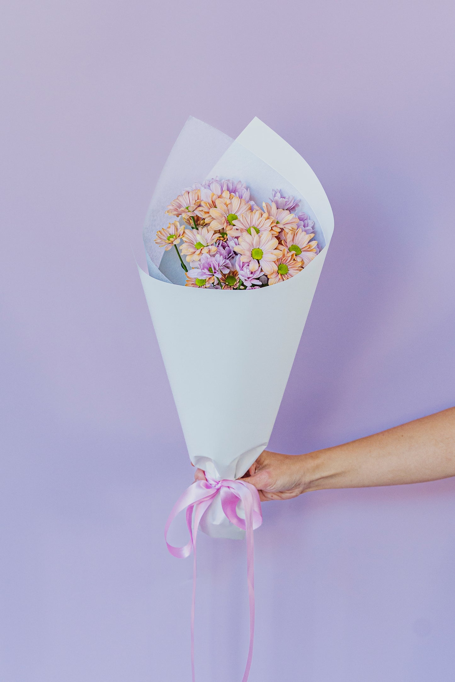 Mixed Chrysanthemums