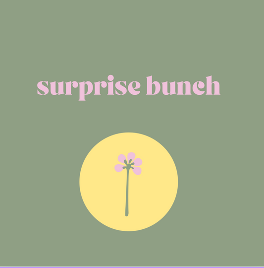 SURPRISE BRIGHT AND BUBBLY BUNCH