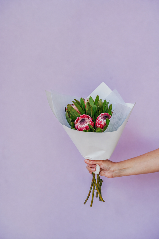 Pretty Proteas