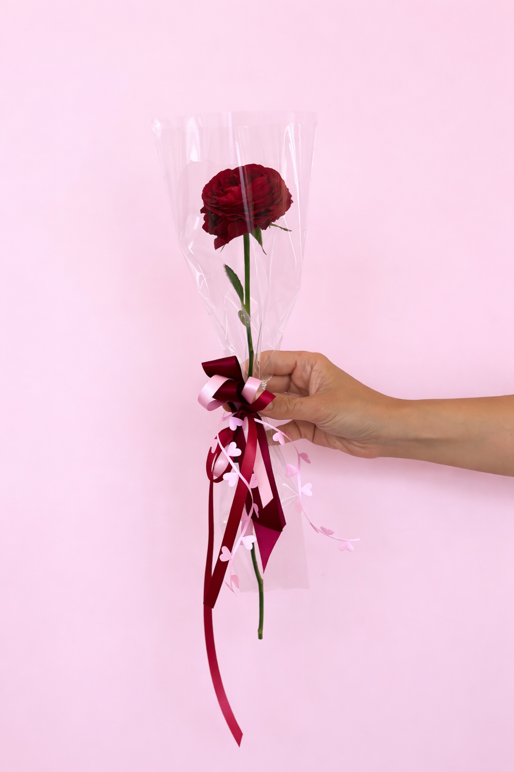 The classic single rose